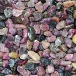 Lot de 10g de tourmaline multicolore Brsil (mini-pierre roule XS) 