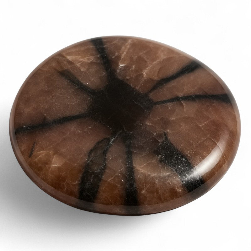 Mini chiastolite pebble China A