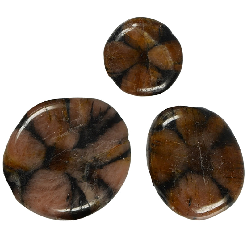 Mini chiastolite pebble China A