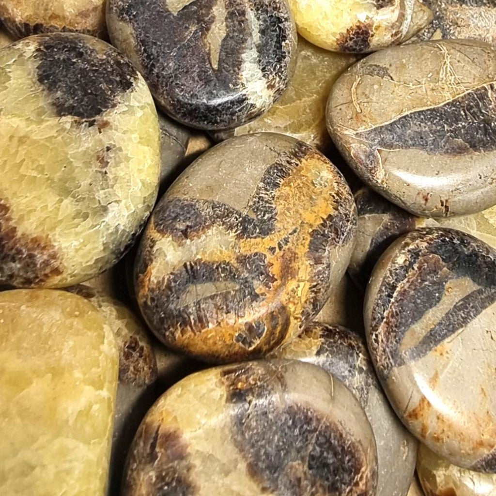 Septaria Madagascar A (XL pebble)