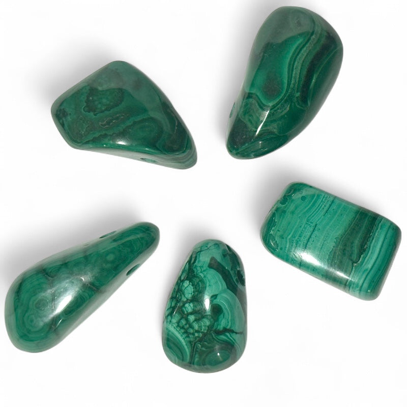 Colgante de malaquita Congo AA (piedra perforada) + cordón