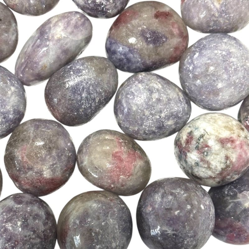 Pulsera de turmalina rosa sobre Eudialyte Namibia A (bolas de 5-6 mm)