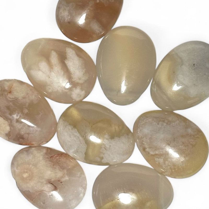 Donut or PI Chinese cherry blossom agate Madagascar A