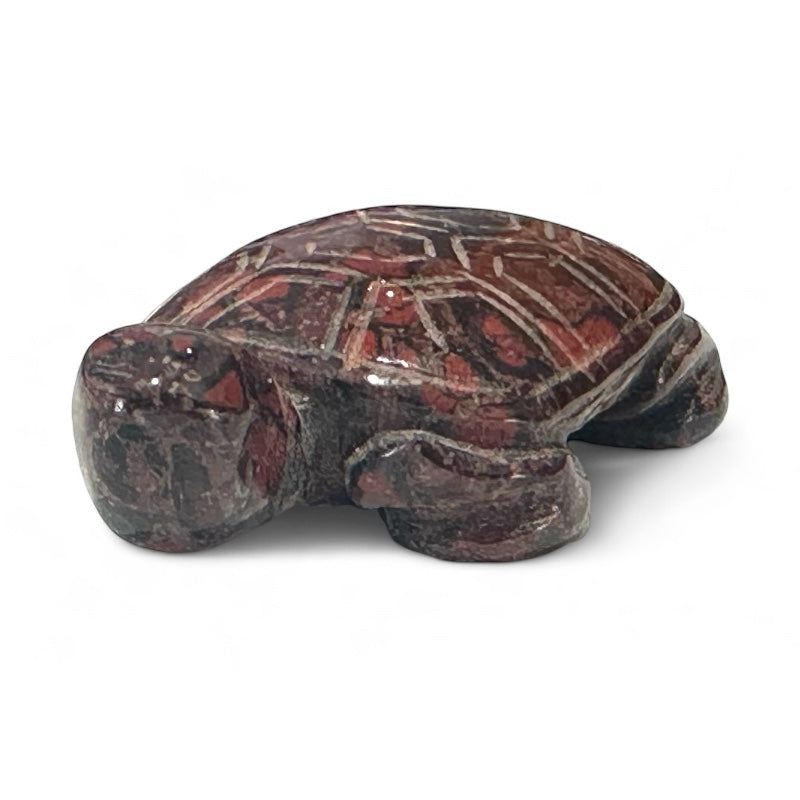 Dragon blood jasper turtle South Africa A 50mm