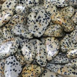 Jaspe dalmatien Mexique A (pierre roulée)
