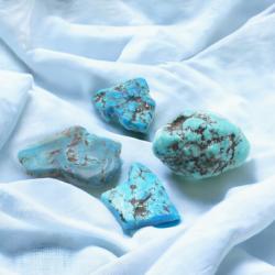 Turquoise Tibet A (pierre roulée)