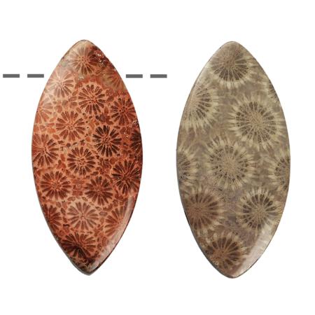Pendentif corail fossilisé Marquise Etats-Unis A  (pierre trouée) + cordon en cuir