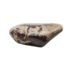 Jaspe brun Afrique du Sud A (pierre roulée)