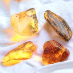 Lot pierres roulées ambre naturel de la mer Baltique (5g)