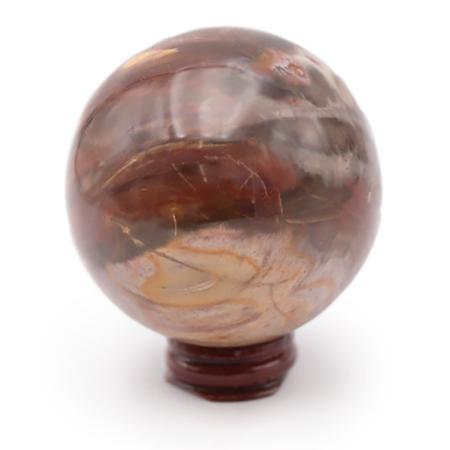 Sphère bois fossilisé Madagascar A+ - 60-70mm