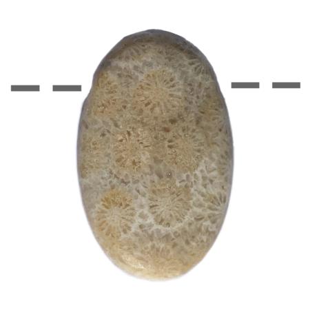 Pendentif corail fossilisé ovale (pierre trouée) + cordon en cuir