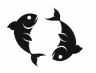pierre signe astrologique poisson