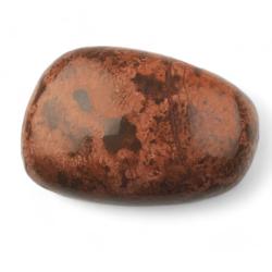 Rhyolite étoilée Inde AA (pierre roulée) 