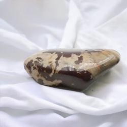 Jaspe brun Afrique du Sud A (pierre roulée)