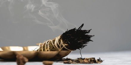7 bonnes raisons d’adopter la sauge pour purifier la maison - La Boite à Cailloux