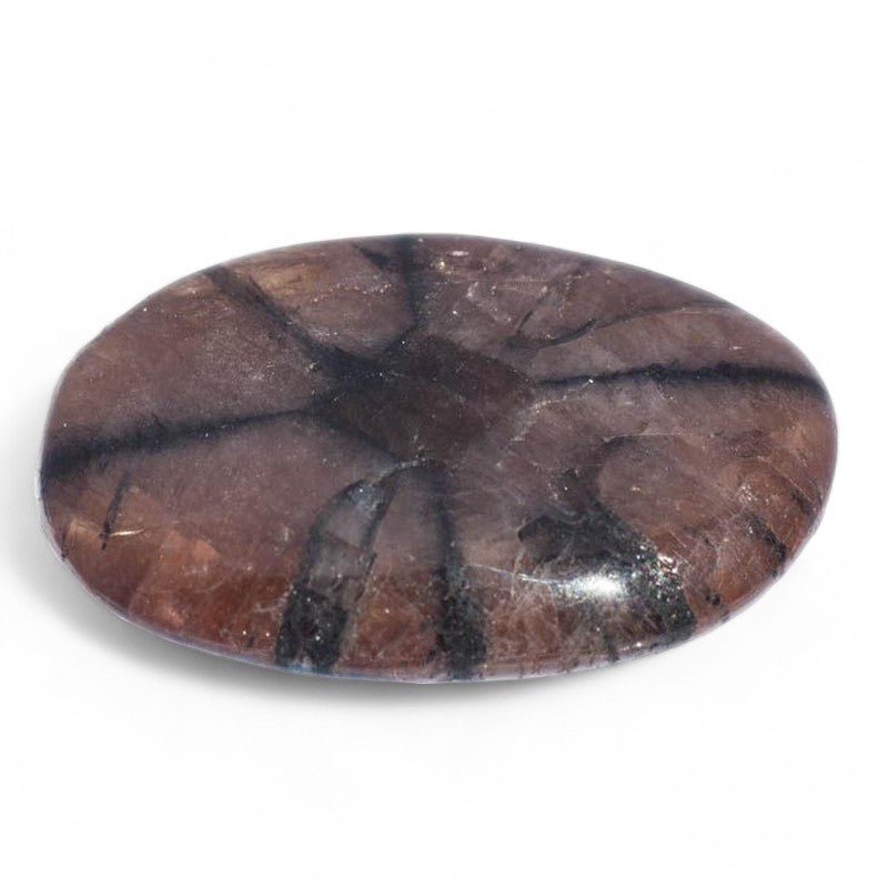 Chiastolite - La Boite à Cailloux