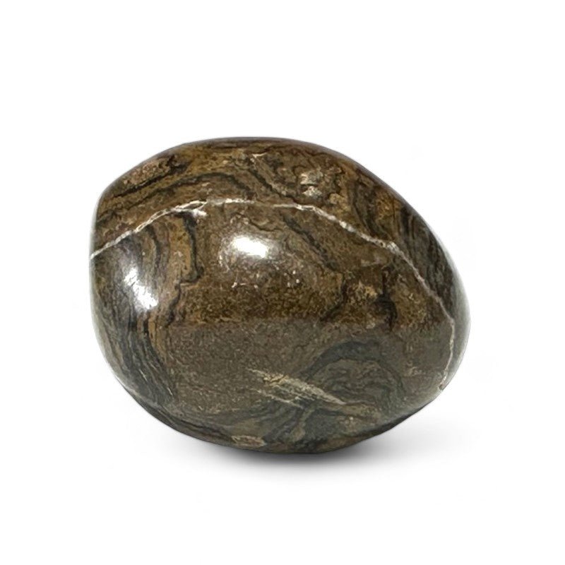 Stromatolite - La Boite à Cailloux