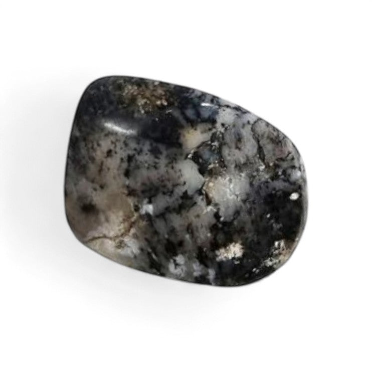 Agate dentrite Brésil A (pierre roulée)