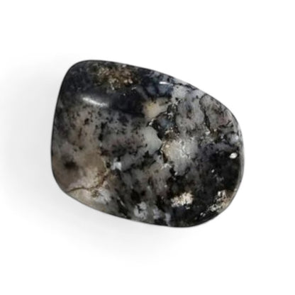 Agate dentrite Brésil A (pierre roulée)