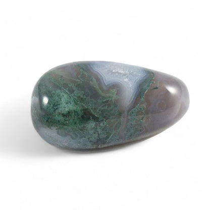 Agate mousse Inde A (pierre roulée)