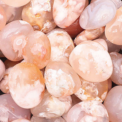 Agate fleur de cerisier Madagascar AA+ (pierre roulée)