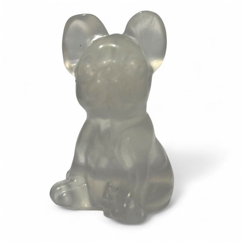 Chien Fluorine blanche AA+ - 40mm