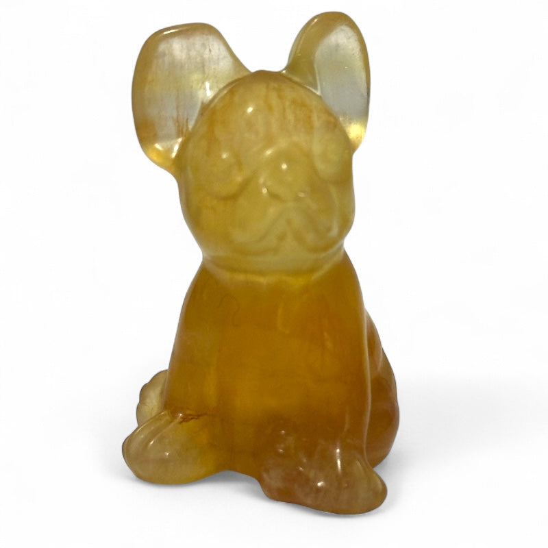 Chien Fluorine jaune AA+ - 40mm