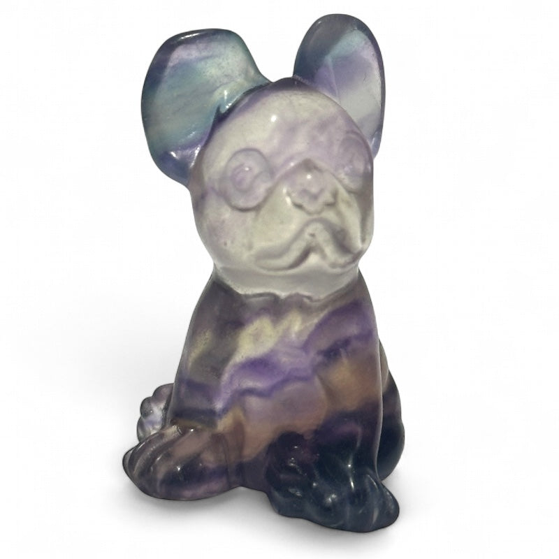 Chien Fluorine multicolore AA+ - 40mm