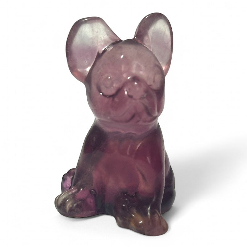 Chien Fluorine violette AA+ - 40mm