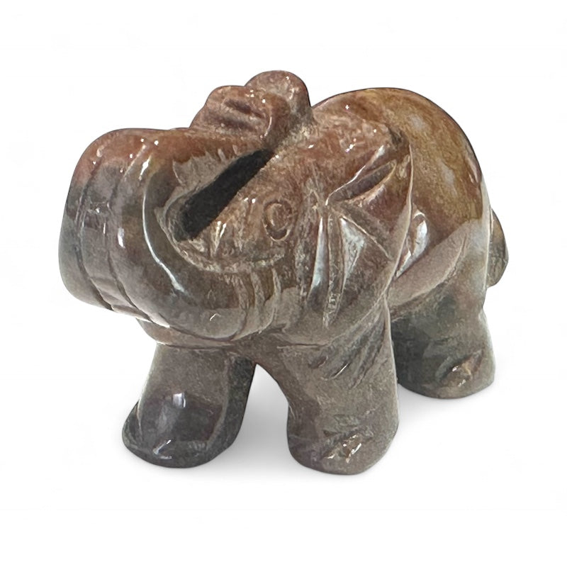 Eléphant pietersite Namibie A 50mm