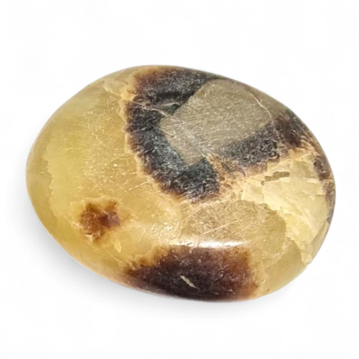 Septaria Madagascar A (XL pebble)