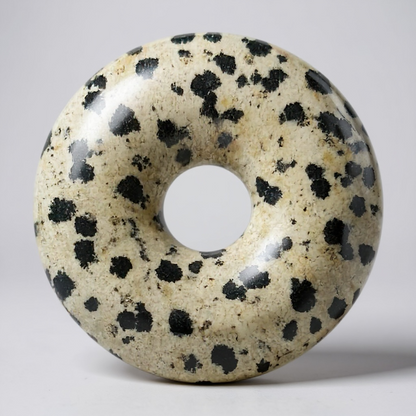 Donut or PI Chinese Dalmatian Jasper Mexico A