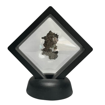 Fulgurita Libia A 35-55 mm