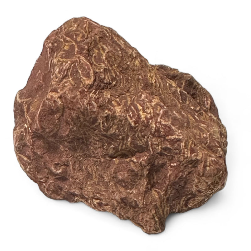 Jaspe peau de serpent Inde A (pierre bute)