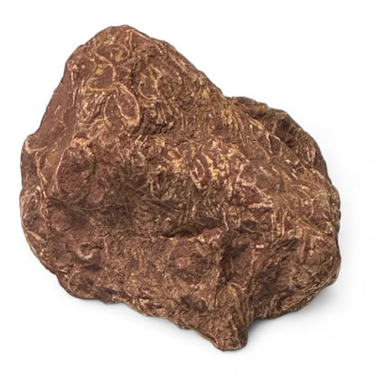 Jaspe peau de serpent Inde A (pierre bute)