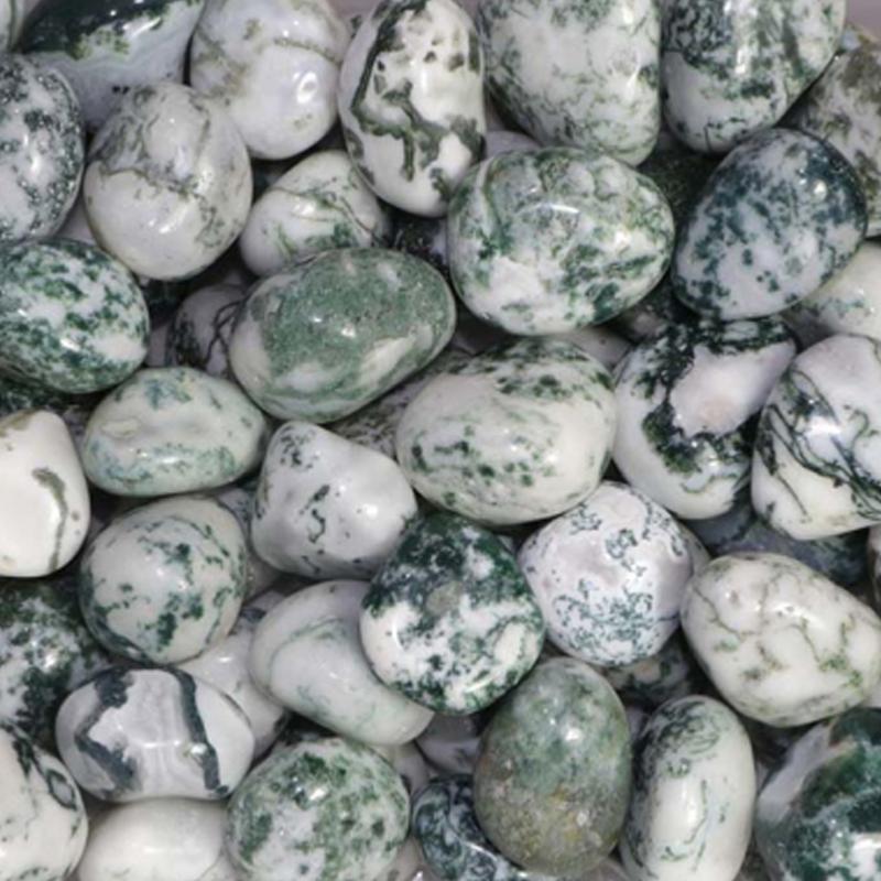 Agate arbre Inde A (pierre roulée) - La Boite à Cailloux