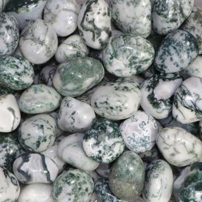 Agate arbre Inde A (pierre roulée) - La Boite à Cailloux