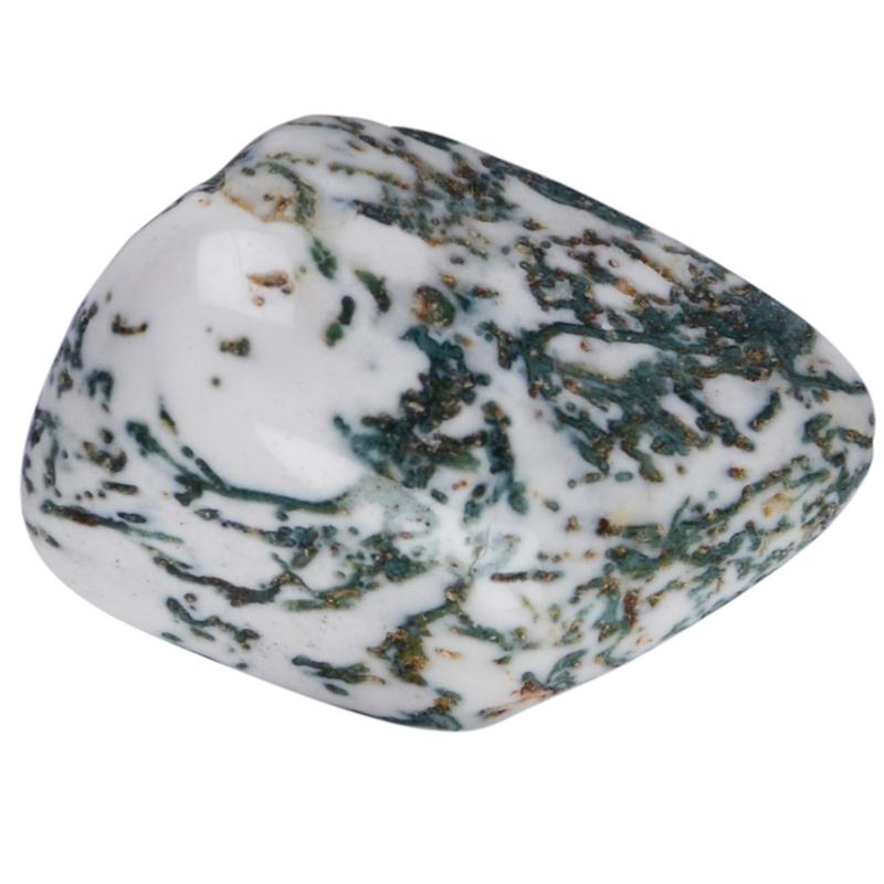 Agate arbre Inde A (pierre roulée) - La Boite à Cailloux