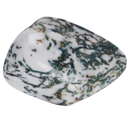 Agate arbre Inde A (pierre roulée) - La Boite à Cailloux