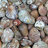 Agate Bahia Brésil AB (pierre brute) - La Boite à Cailloux