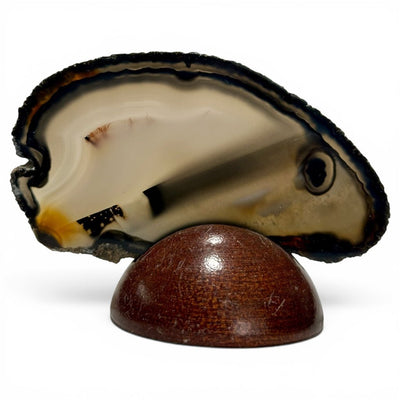 Agate Brésil AA (tranche fine)