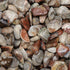 Agate crazy Lace rouge Mexique AA (pierre roulée) - La Boite à Cailloux