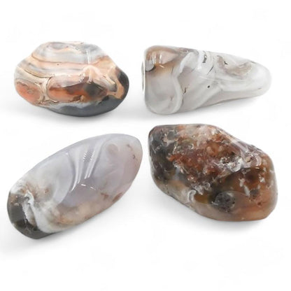 Agate plume Brésil A (pierre roulée) - La Boite à Cailloux