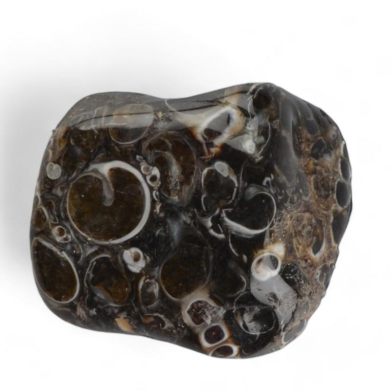 Agate turitella Etats - Unis A+ (pierre roulée) - La Boite à Cailloux