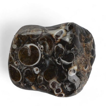 Agate turitella Etats - Unis A+ (pierre roulée) - La Boite à Cailloux