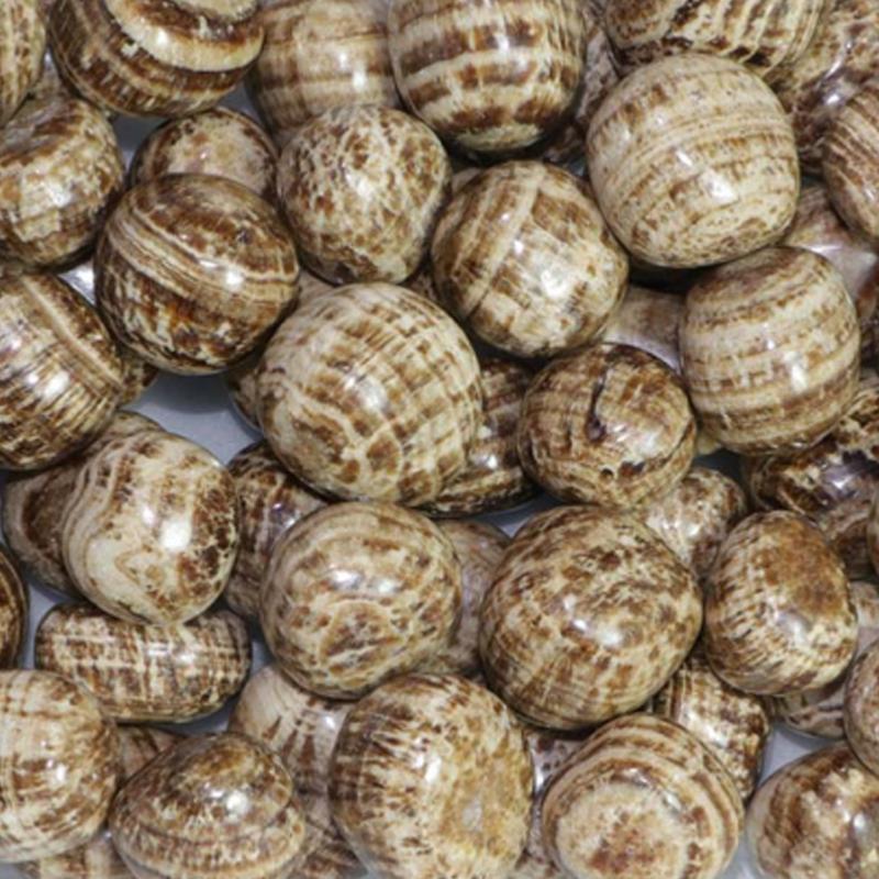 Aragonite marron Pérou A+ (pierre roulée) - La Boite à Cailloux