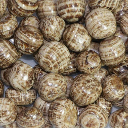 Aragonite marron Pérou A+ (pierre roulée) - La Boite à Cailloux