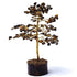 Arbre du bonheur oeil de tigre Afrique du Sud A (18cm) - La Boite à Cailloux