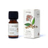 Aromafume Huile Essentielle Clou de girofle 10ml - La Boite à Cailloux