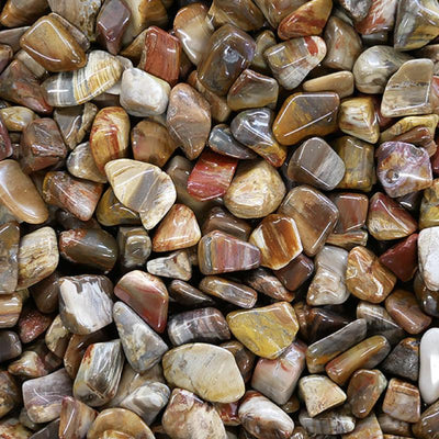 Fossilized and petrified wood Brazil A (rolled stone)